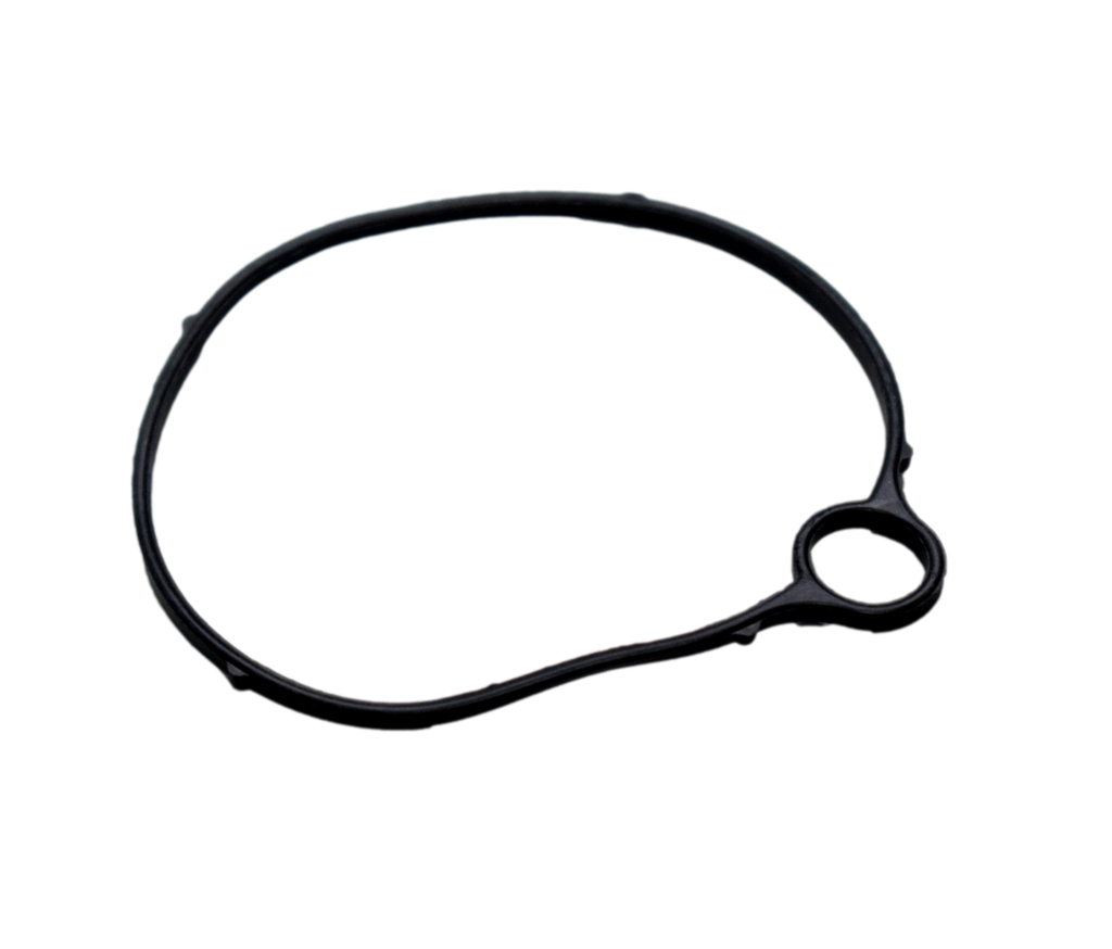 Empaque Tapa de Carburador SPORT 100 Tvs Original