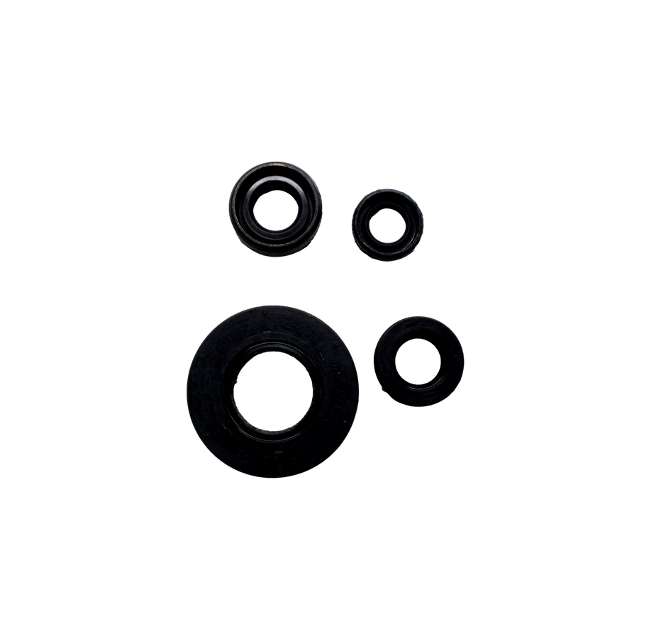Kit Reten de Motor RTR 180 Tvs Original