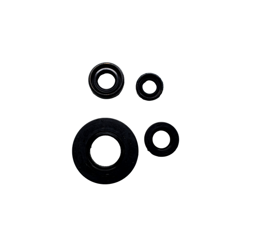 Kit Reten de Motor RTR 180 Tvs Original