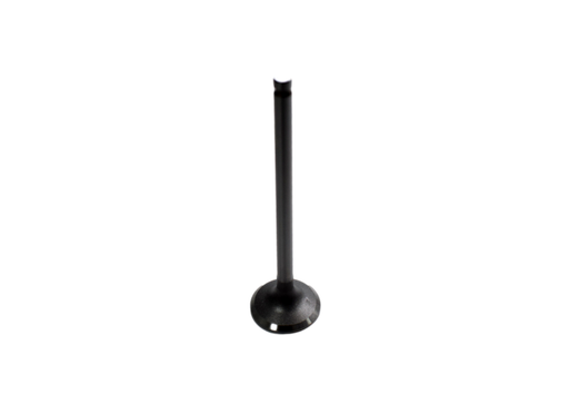 Valvula de Escape Xlr 125 Generico Japon GENERICO