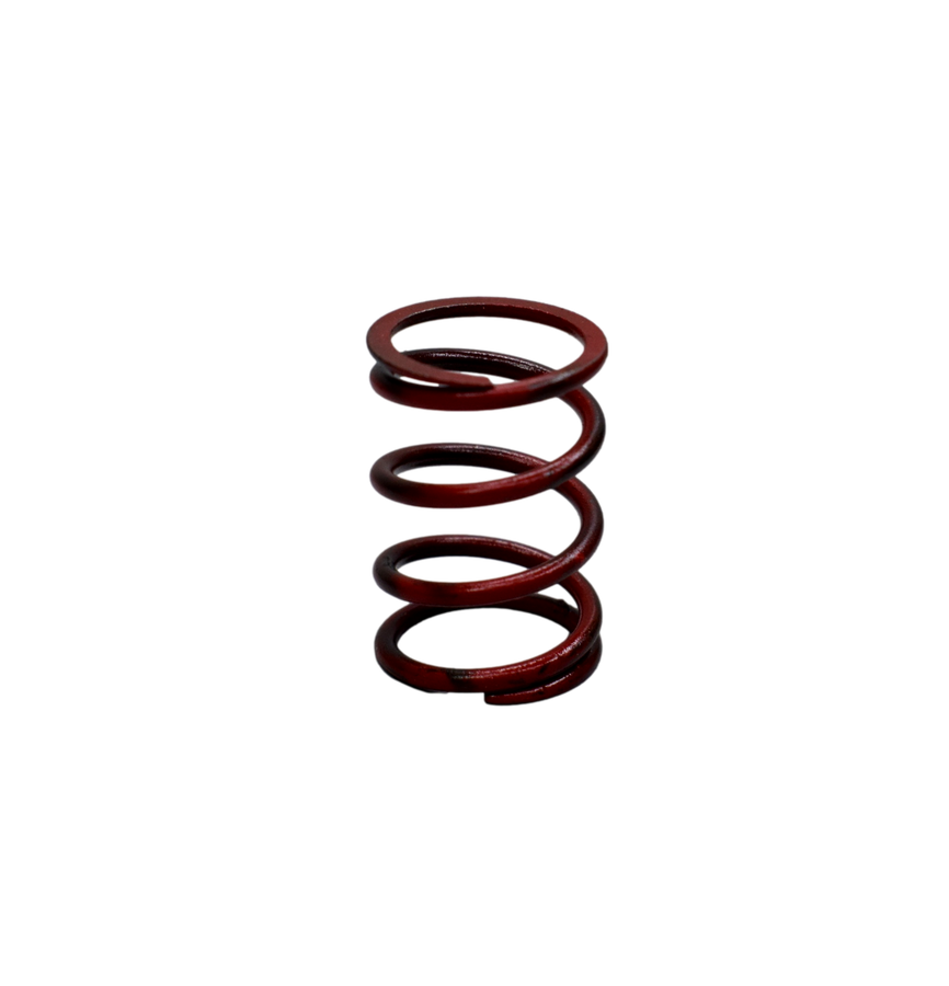 Resorte de Clutch Pulsar 180 Bajaj Original