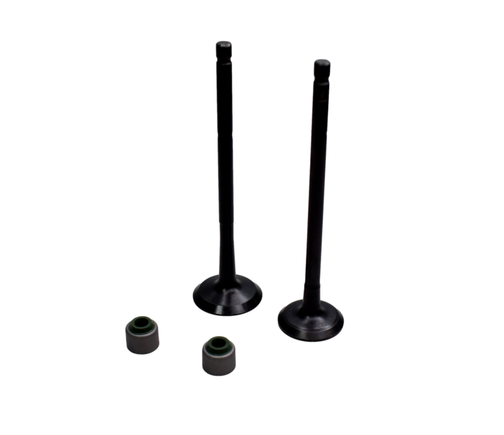 Kit de Valvulas Discover 100 - Boxer 100 Bm Es/Ks