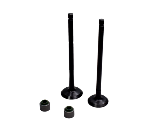 Kit de Valvulas Discover 100 - Boxer 100 Bm Es/Ks