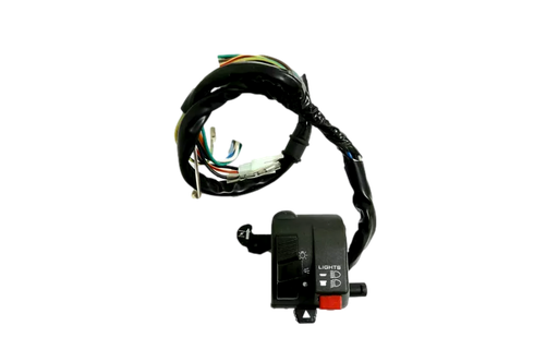Comando Izquierdo SPECIAL 110S Akt Original