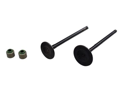 Kit de Valvulas Xcd 125 - Platino 125 Generico India GENERICO