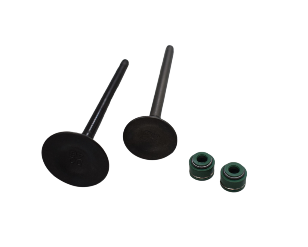 Kit de Valvulas AK 125 Akt Original