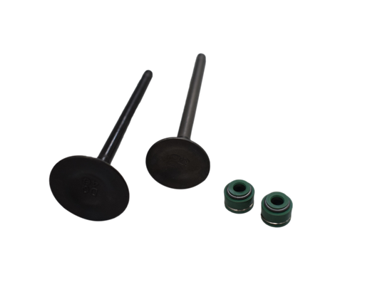 Kit de Valvulas AK 125 Akt Original