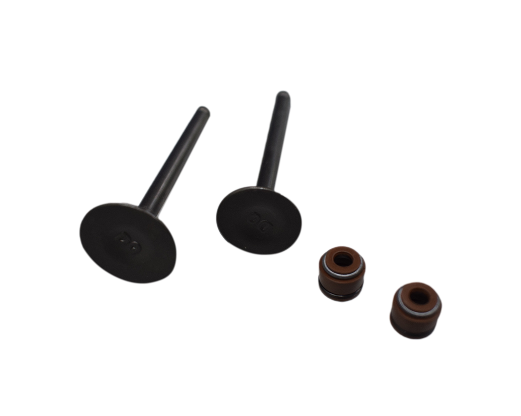 Kit de Valvulas SPECIAL 110 Akt Original
