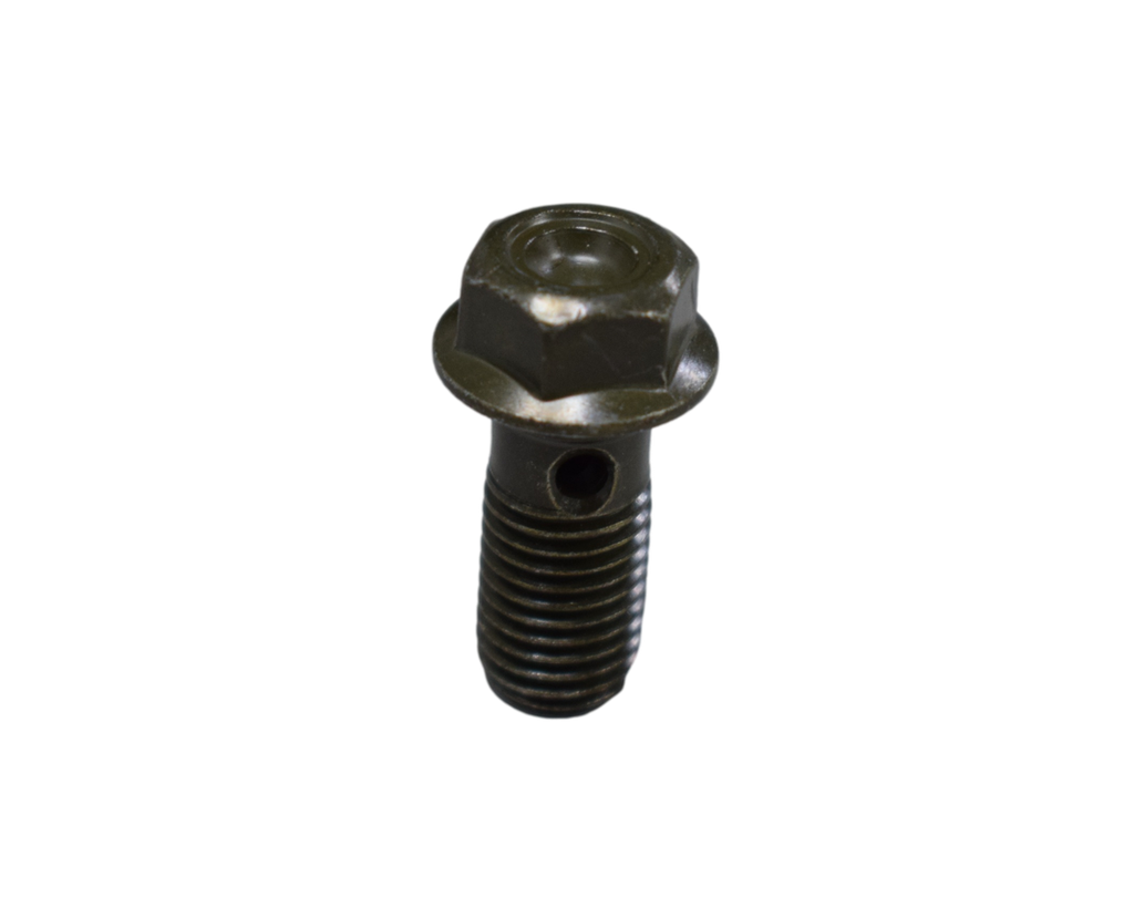 Tornillo de Aceite 10X22 SPECIAL 110 - NKD 125 Akt Original