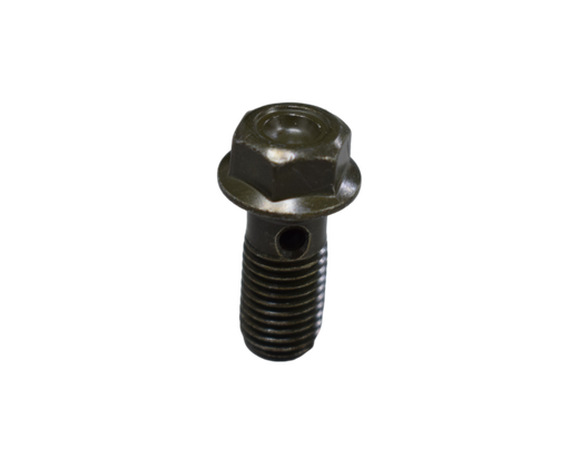 Tornillo de Aceite 10X22 SPECIAL 110 - NKD 125 Akt Original