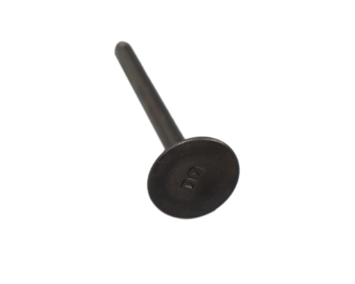 Valvula de Escape SPECIAL 110 Akt Original
