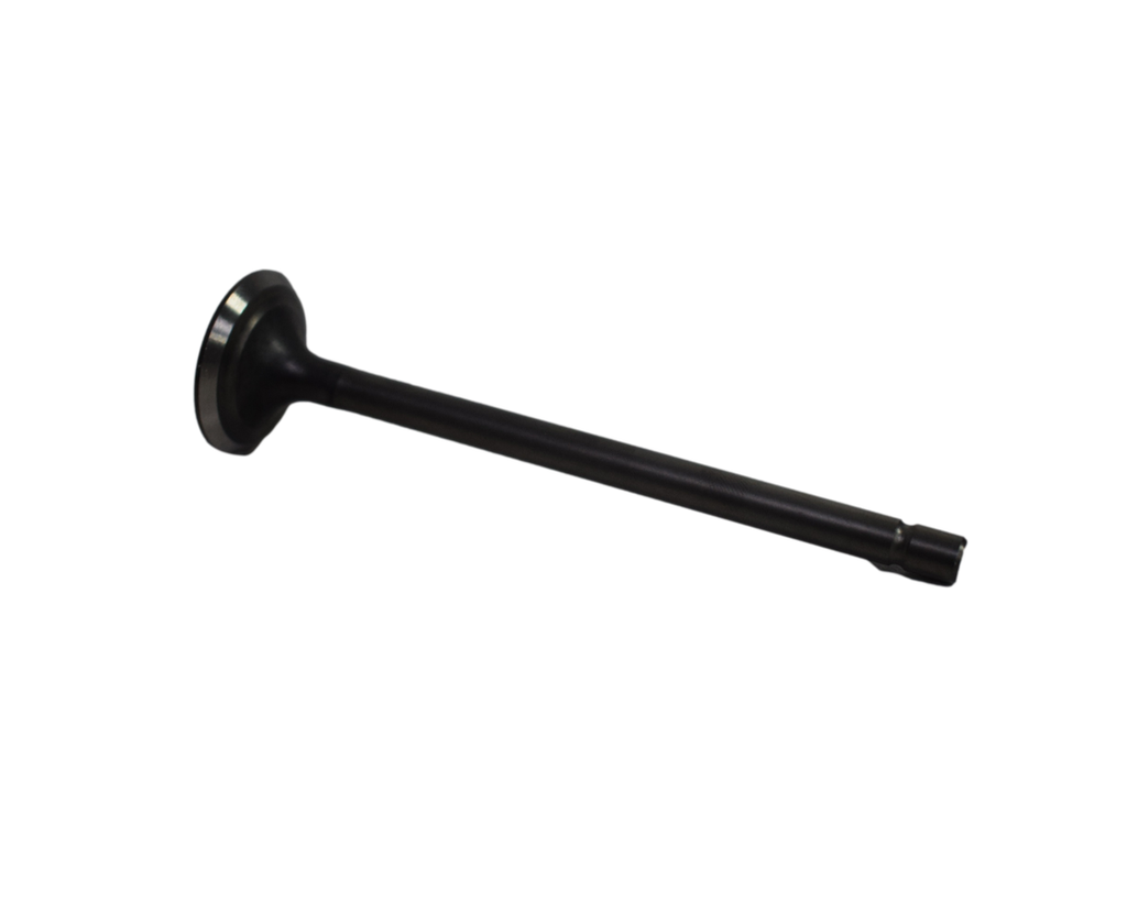 Valvula de Escape EVO 125 NE Akt Original