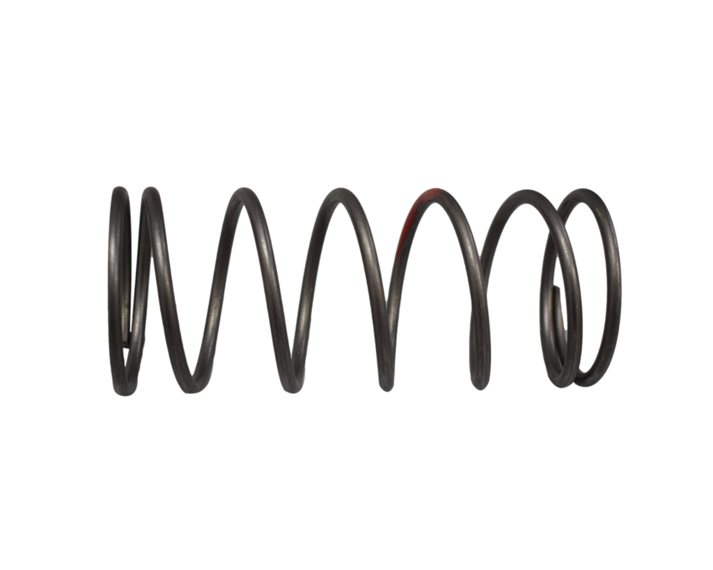 Resorte Centrifugo DYNAMIC 125 Akt Original
