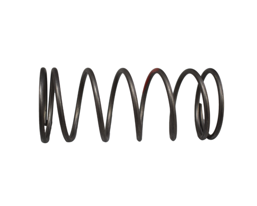 Resorte Centrifugo DYNAMIC 125 Akt Original