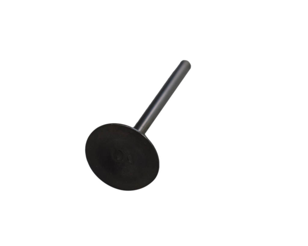 Valvula de Escape FLEX 125 Akt Original