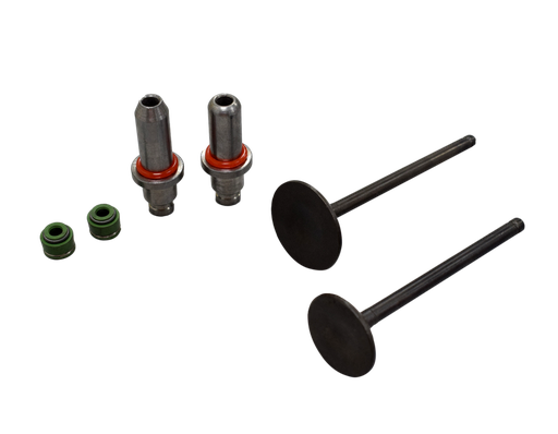 Kit de Valvulas Sm 200 Generico Chino GENERICO