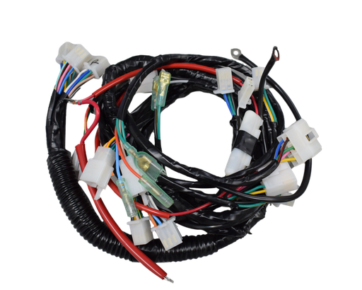 Instalacion Electrica EVO 125 NE - EVO 150 NE Akt Original
