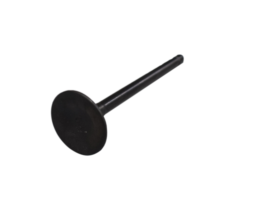 Valvula de Escape XM 180 Akt Original