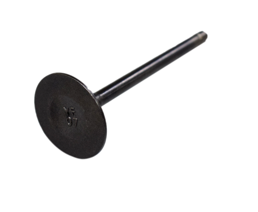Valvula de Admision XM 180 Akt Original