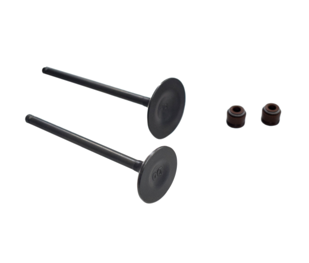 Kit Valvulas CR5 - TTX 180 - TTR 180 Akt Original