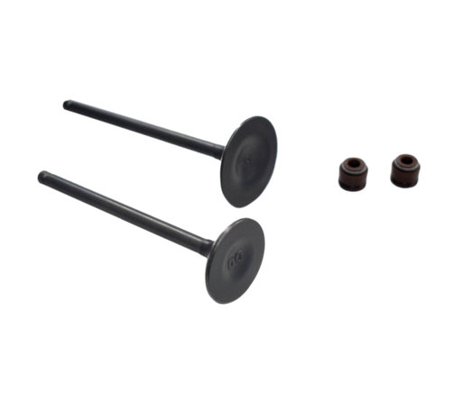 Kit Valvulas CR5 - TTX 180 - TTR 180 Akt Original