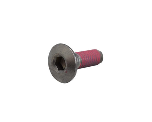 Tornillo de Freno Disco Pulsar 180/200 Bajaj Original