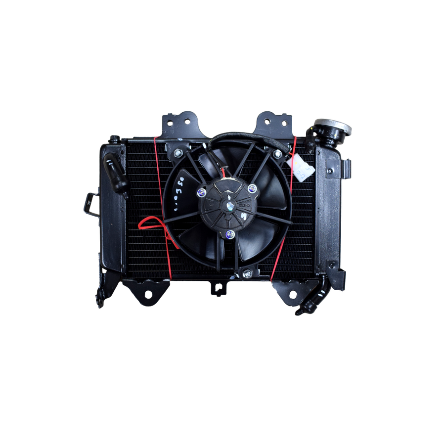 Radiador PULSAR 200 NS Bajaj Original
