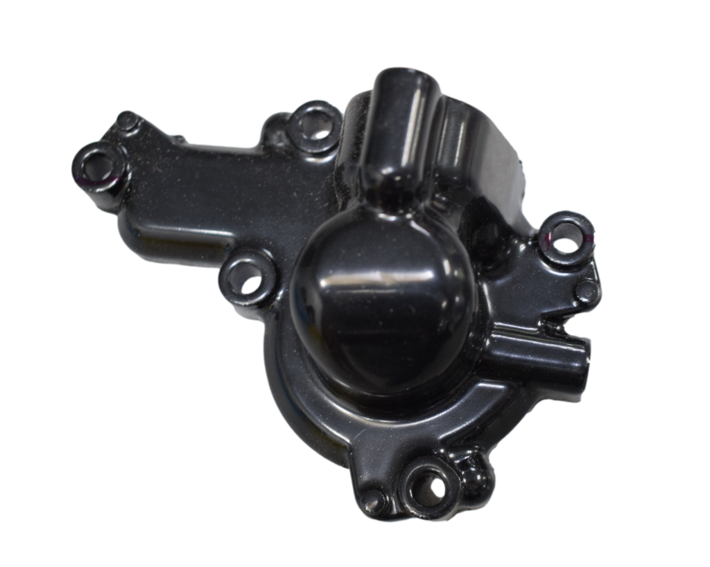 Tapa Bomba de Agua Pulsar 200 NS Original – Repuestos Bajaj
