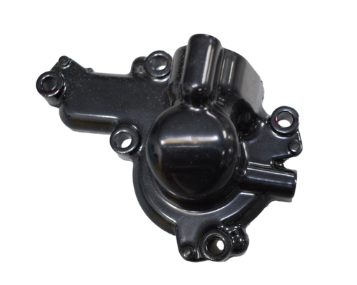Tapa Bomba de Agua Pulsar 200 NS Original – Repuestos Bajaj