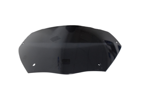 Visor de Carenaje Boxer 100 S1D Bajaj Original