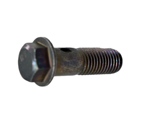 Tornillo de Aceite 10X25 Pulsar 200 Bajaj Original
