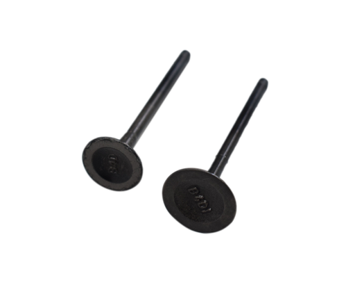 Kit de Valvulas Platino 110 Bajaj Original