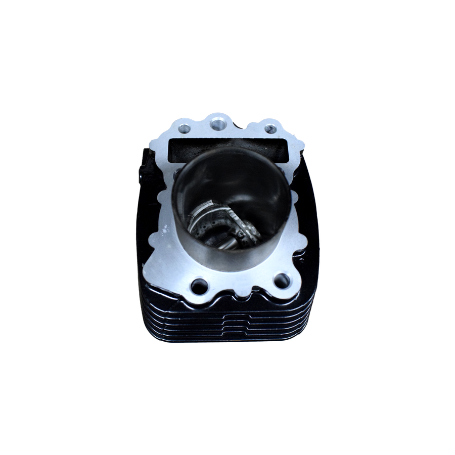 Cilindro Xcd 125 - Platino 125 (5 Cambios) Bajaj Original (en kit)