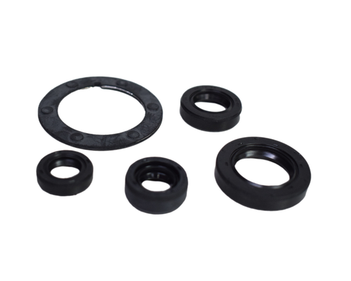 Kit Reten de Motor Pulsar 135 Bajaj Original