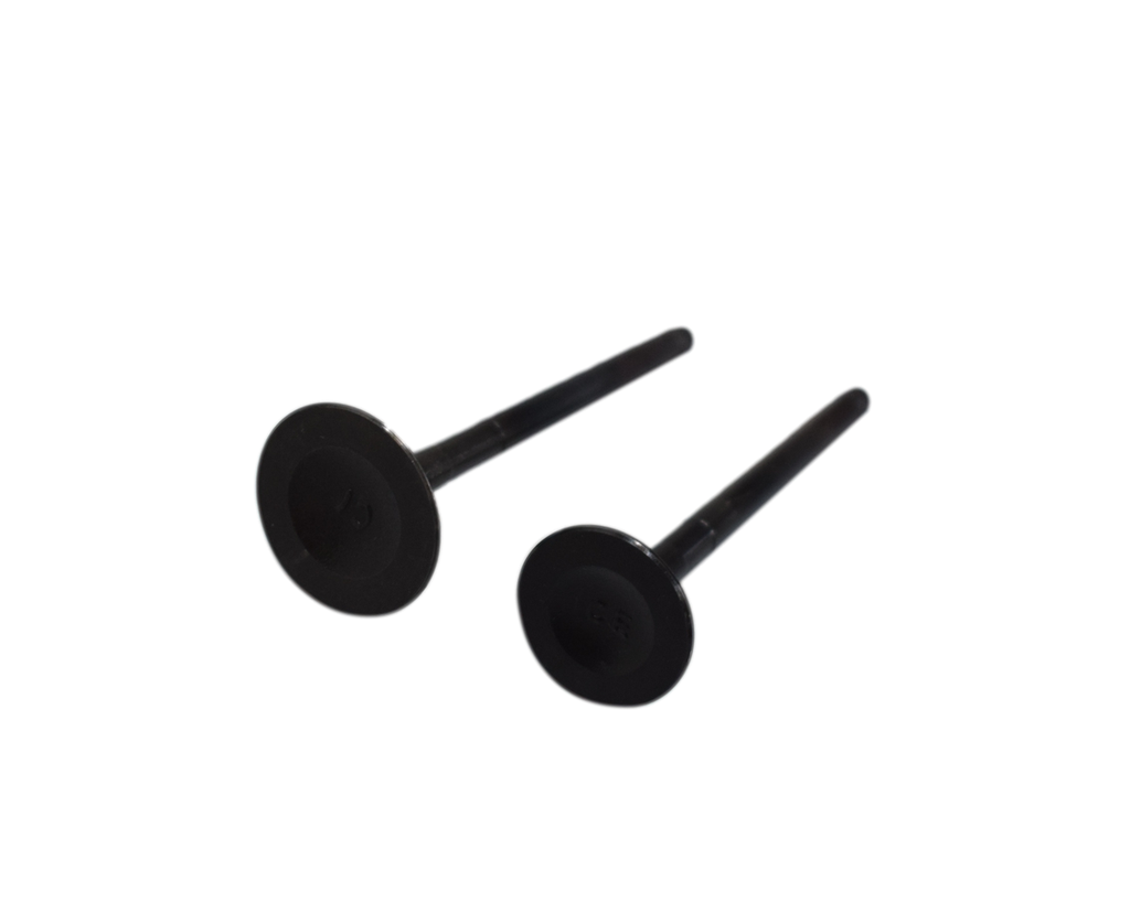 Kit de Valvulas Boxer Ct 102 Es/Ks - Platino 110 Bajaj Original