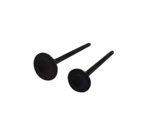 Kit de Valvulas Boxer Ct 102 Es/Ks - Platino 110 Bajaj Original