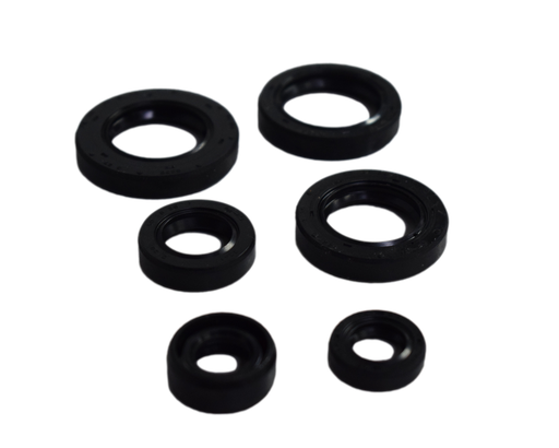Kit Reten de Motor Pulsar 180 (Todas) Bajaj Original