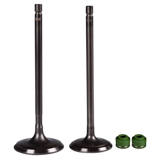 Válvulas Adm Y Esc+Sellos Akt 180 Ttr-Akt 180 Cr5-Akt 180-200 Ttx Revo Par