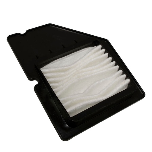 Filtro Aire Hayate 110 Revo Und