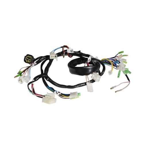 Sistema Eléctrico Libero 125 Mod Revo Und
