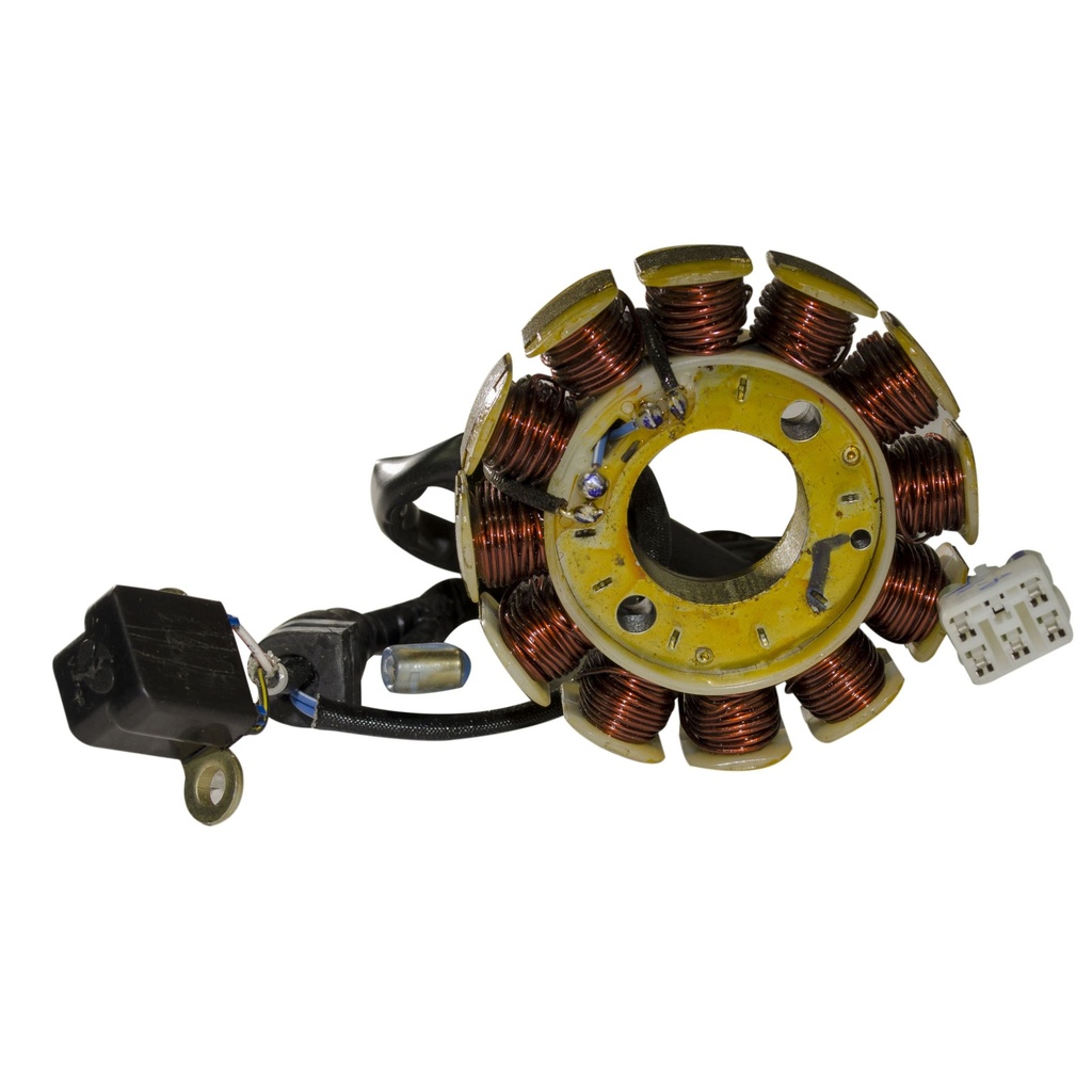 Stator Bobinas 12 Nucleos Pulsar 135-Discover 100M-110-125St-150St Original Varroc Und