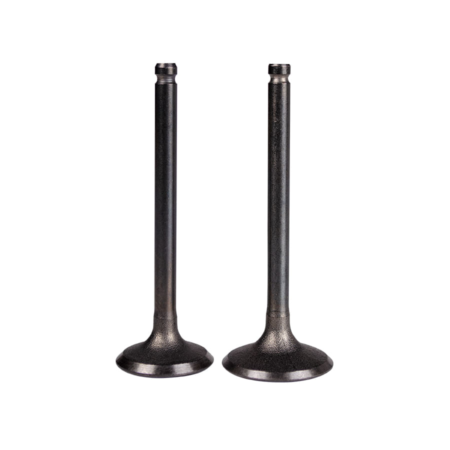 Válvulas Adm Y Esc Vivax 115 K4 L1-Euro 2 Sukiparts Par