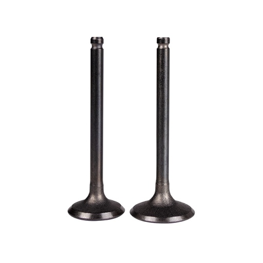Válvulas Adm Y Esc Vivax 115 K4 L1-Euro 2 Sukiparts Par