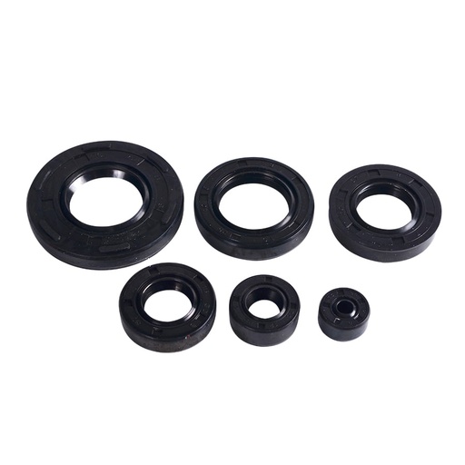 Kit Retenedores Ax 100-Ax 115-Akt 100S Revo Kitx6