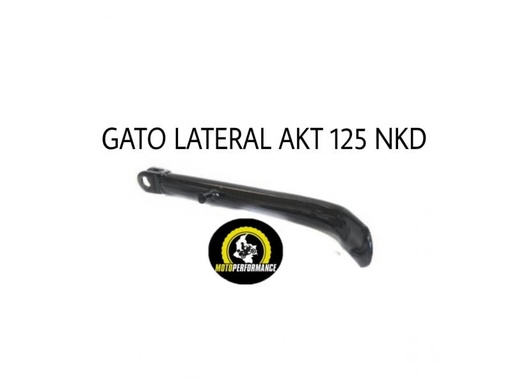 Gato lateral akt 125 nkd
