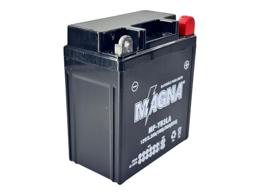 Batería YB3L-B Dt 125 - Dt 175-99