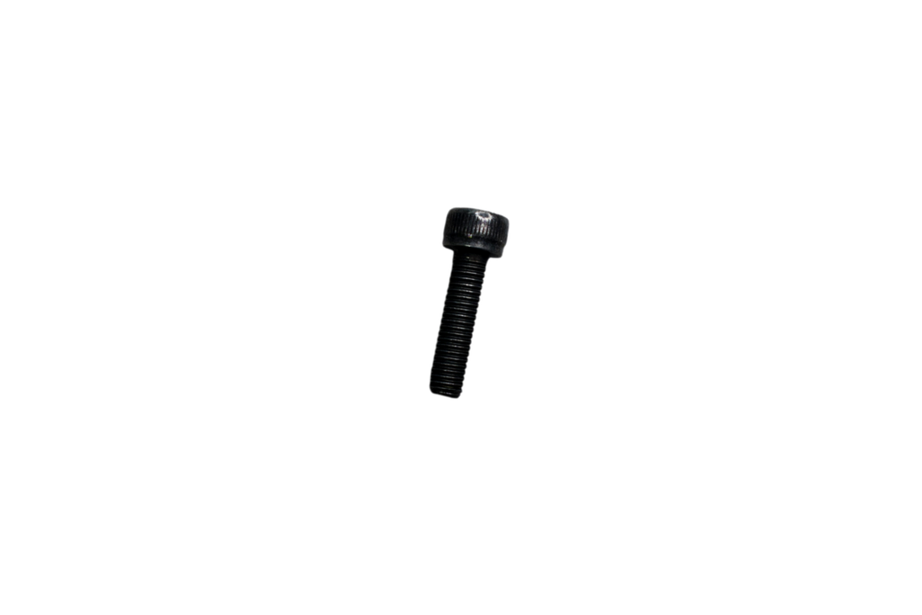 Tornillo de Mofle RTR 180 Tvs Original