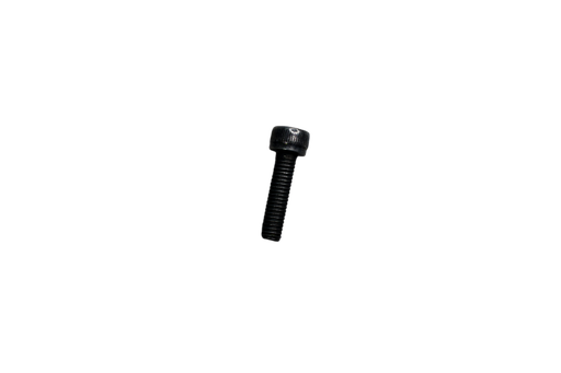 Tornillo de Mofle RTR 180 Tvs Original