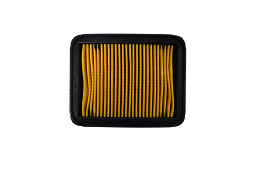 Filtro de Aire Rtr 200 Fi Tvs Original