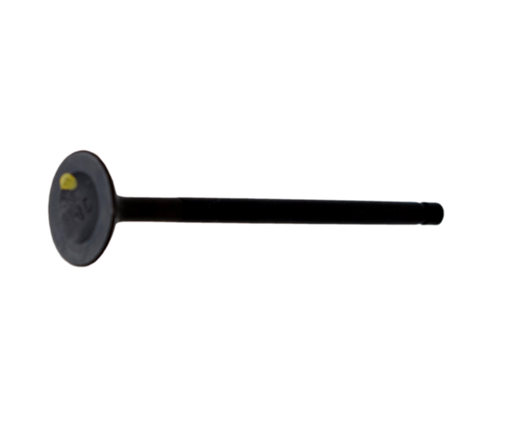 Valvula de Escape Rtr 160/200 (4 Valvulas) Tvs Original